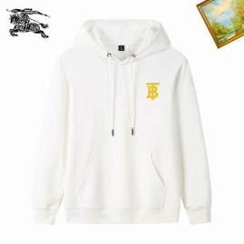 Picture of Burberry Hoodies _SKUBurberryM-3XL25tn501717